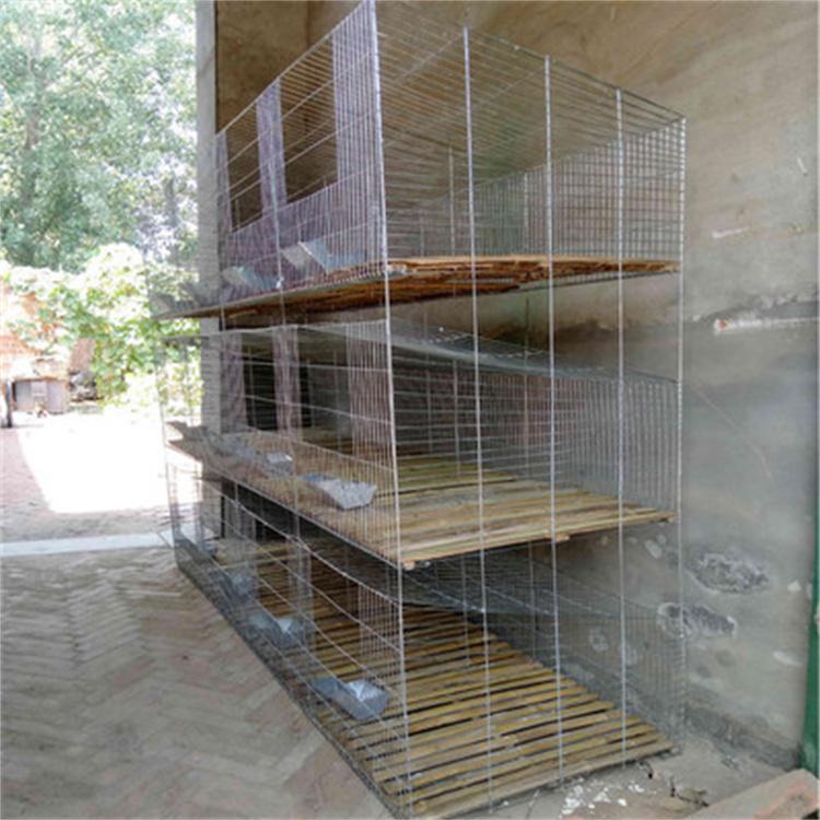 大号子母兔子 仔母笼种养殖笼 库存供应