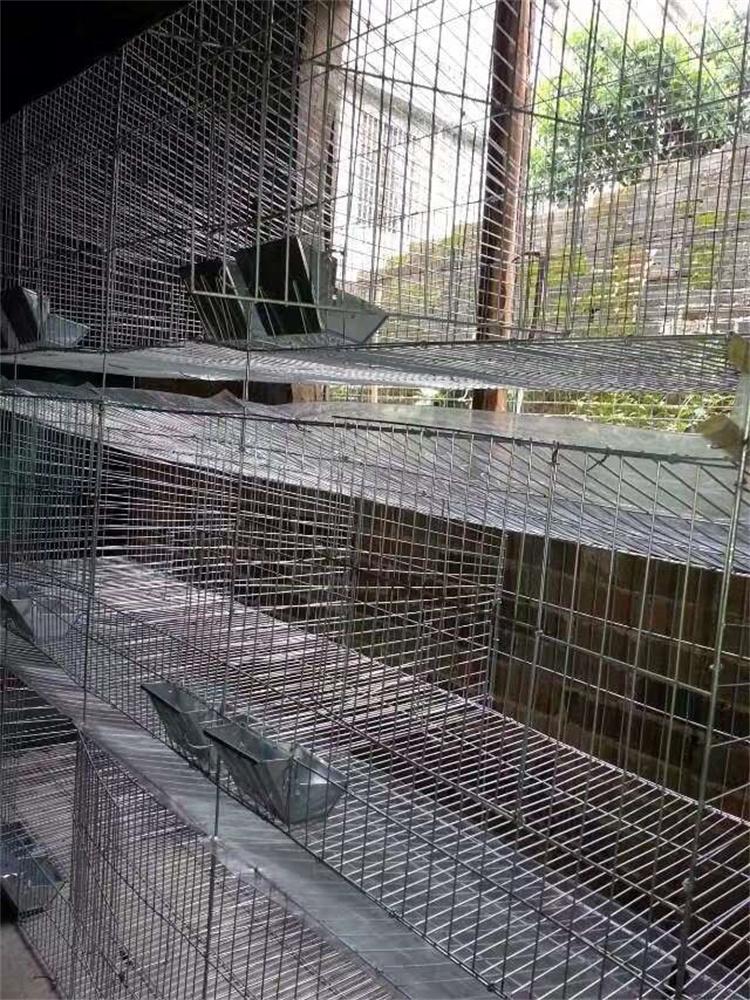 兔子新手笼 兔子笼牌子 养兔子母笼