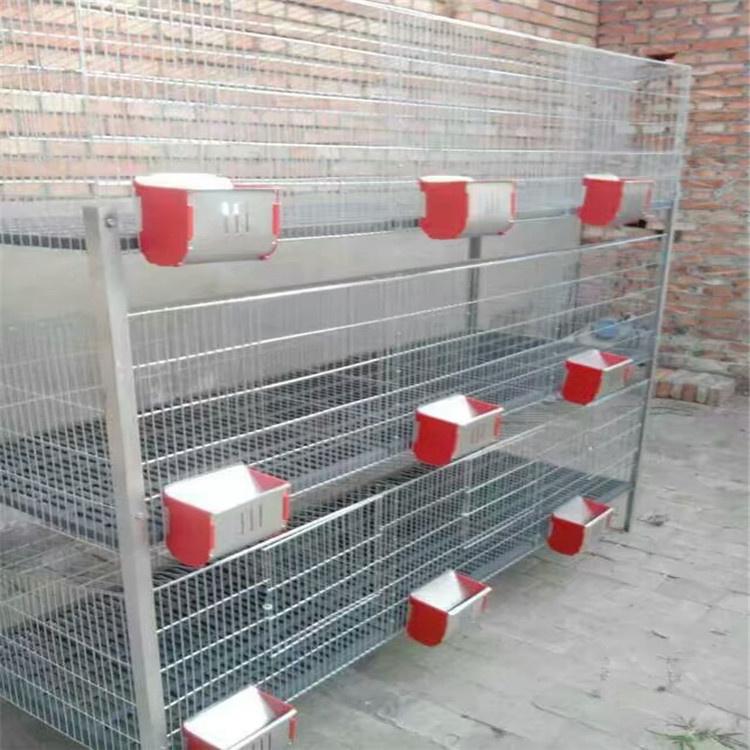 育肥兔子笼规格 新型欧式兔笼 厂家
