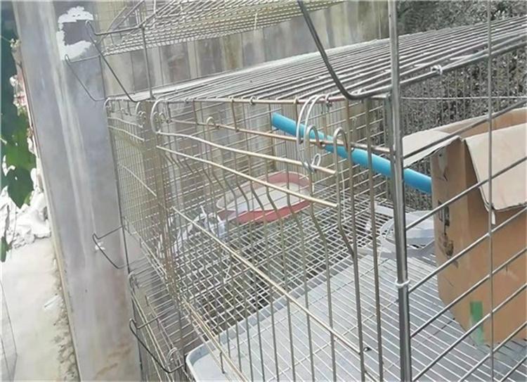 欧式养殖兔笼 新品繁育一体兔笼 自动喂料饮水 厂家货源