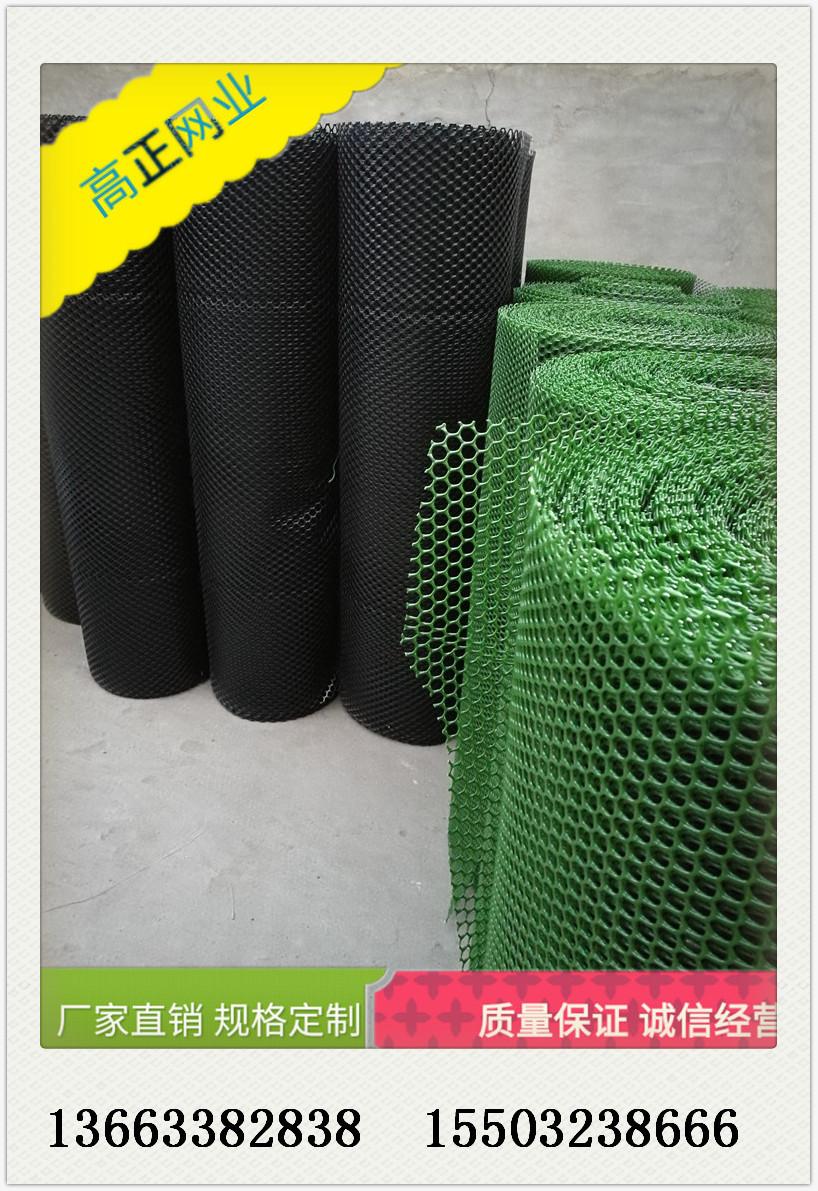 塑料平网 养鸡鸭鹅塑料网苗床铺垫网养蚕网养蜂塑料网生产厂家