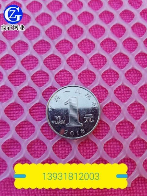 加厚塑料平网 养鸡鸭鹅漏粪网塑料网格苗床铺垫网养蚕网养蜂塑料网实力厂家