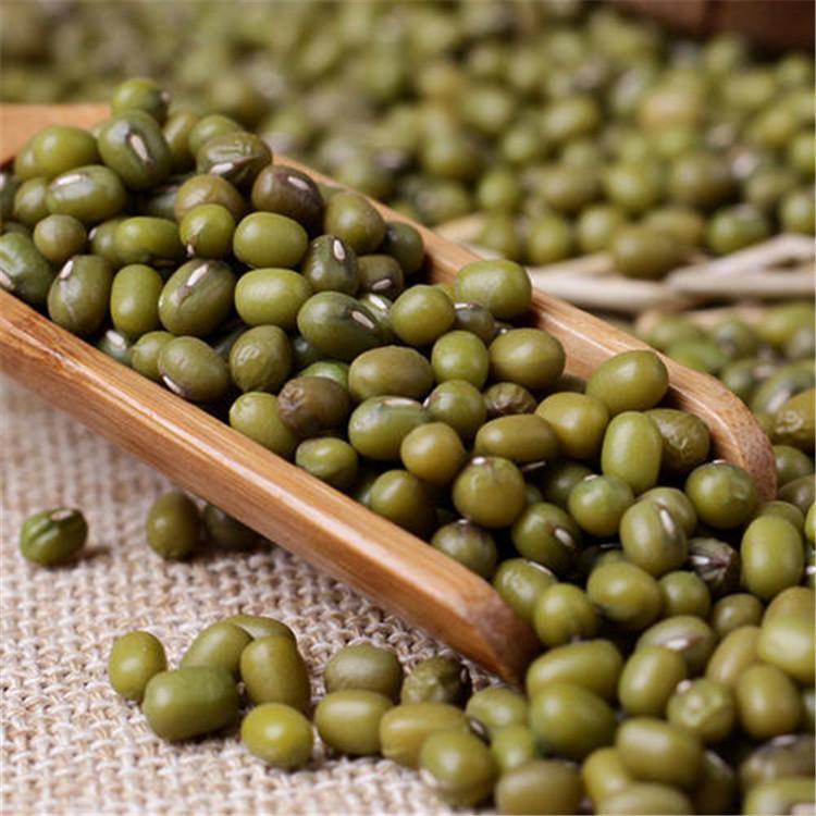 绿豆凉粉 厂家直销