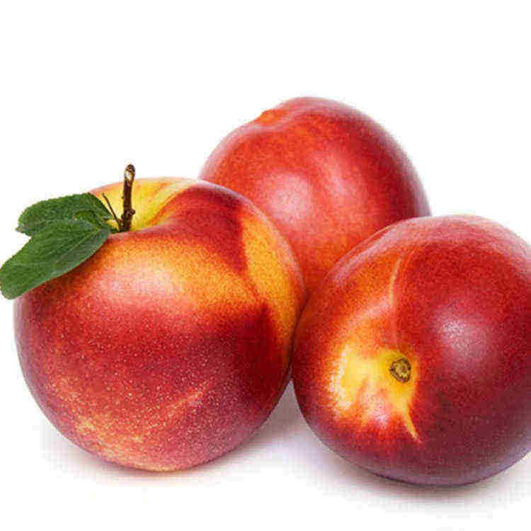 厂家供应 牛奶油桃  新鲜可口 批发优惠
