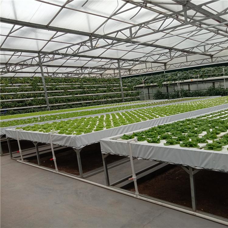 农作物育苗潮汐苗床材料适用于温室大棚生产                                       