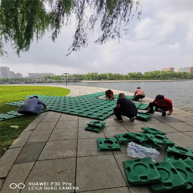 生态浮岛批发 百源春 生态浮岛种植基地批发