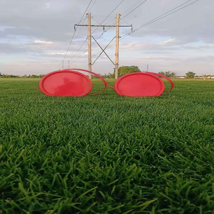 草坪真草皮 质量好价格优