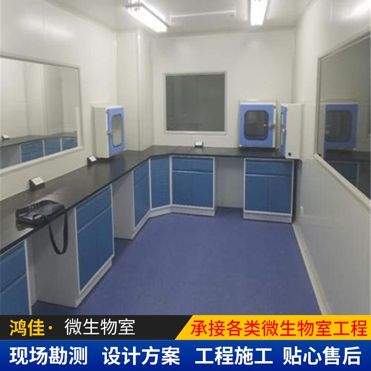 微生物实验室 车间净化恒温恒湿室设计