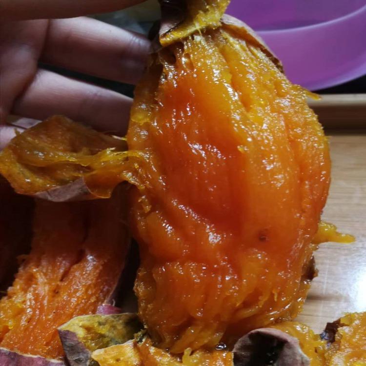 夏津烟薯25种植基地大量供应蜜薯