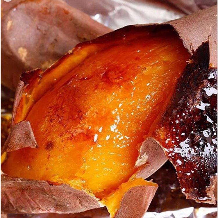 供应沙地烟薯25口感好 香甜软糯的好烟薯烤地瓜专供产品