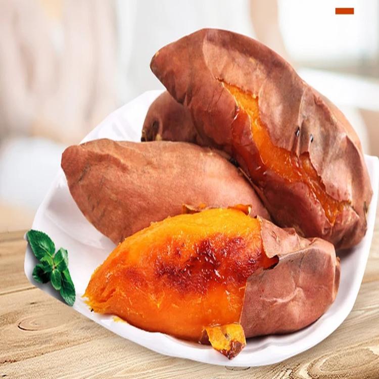 山东地瓜苗厂家批发烟薯25 大田苗价格 红薯苗价格 山东地瓜苗直销 成活率高