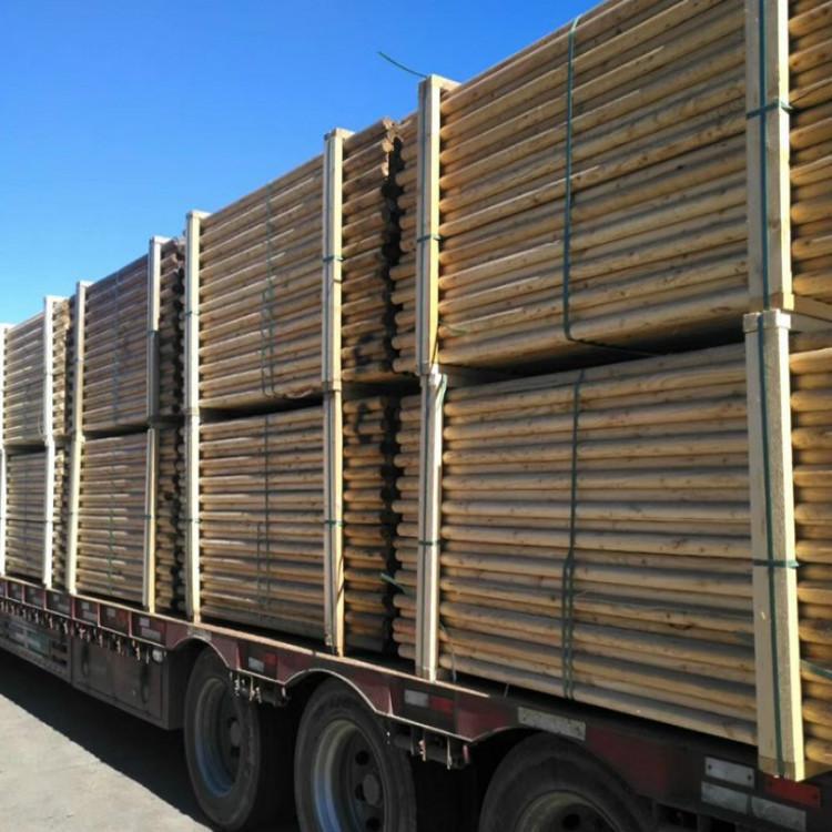 大量供应绿化支撑松木杆  厚勤 2米长绿化杆 厂家定制 