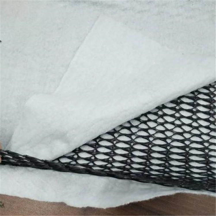 便宜批发耐用复合排水网 填埋场耐酸碱三维复合排水网 厂家直营