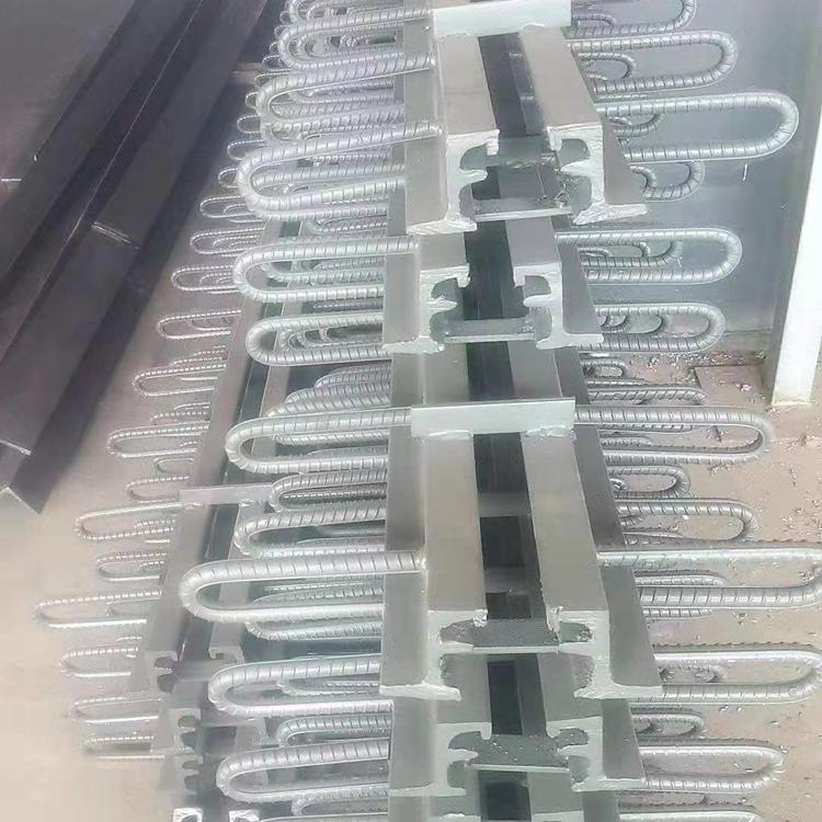 厂家直供桥梁伸缩缝 公路桥梁伸缩缝 道路伸缩缝