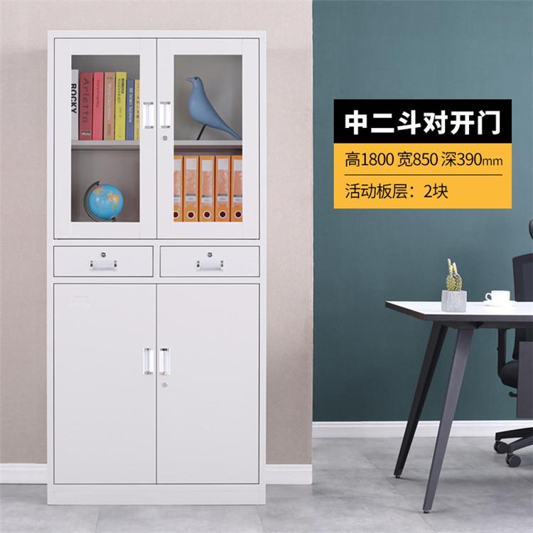 钢制文件柜办公室铁皮柜子资料储存储物档案凭证柜更衣柜带锁抽屉