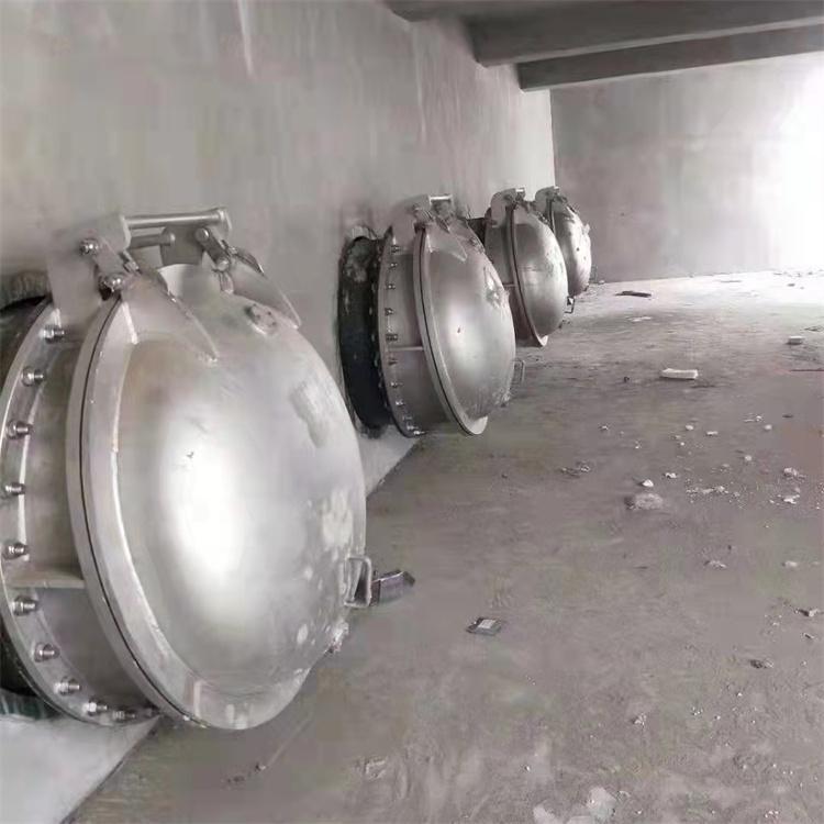 钢制出水口拍门