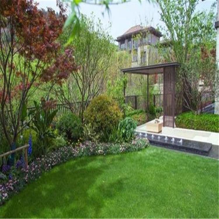 景观绿化造型 绿化国槐 小区绿化国槐 价格报价