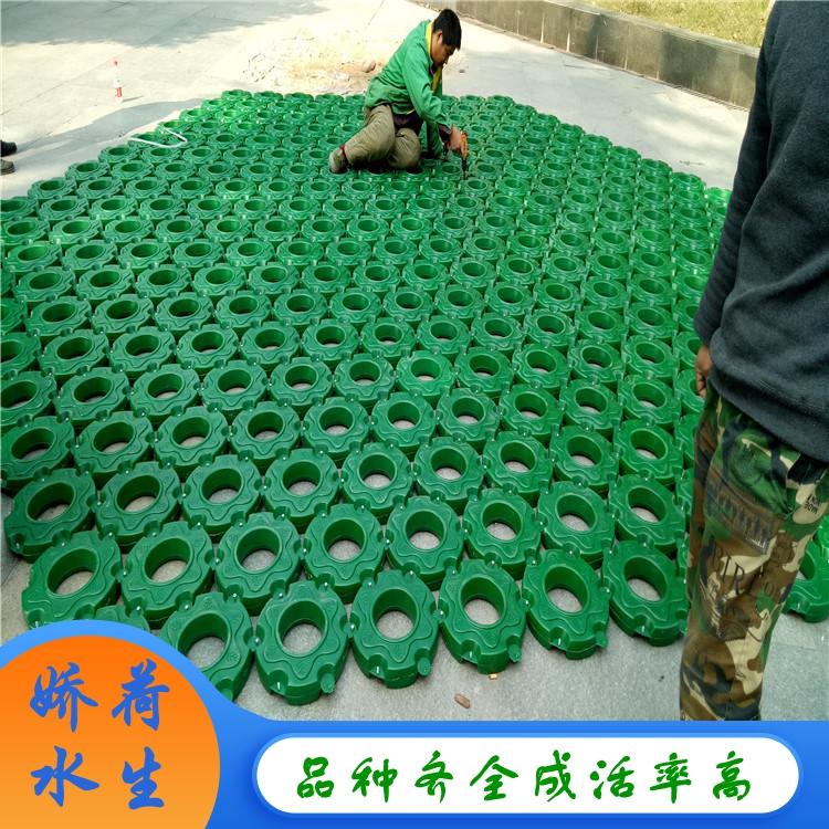 人工浮岛 人工浮岛设计安装厂家 生态人工浮岛可按需定制