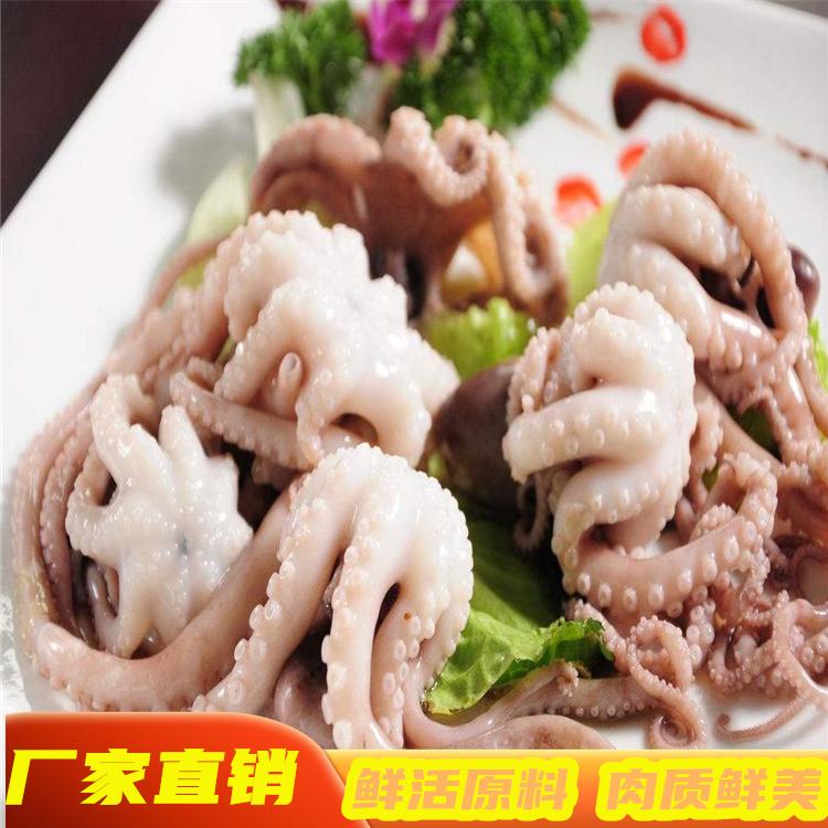 鲜冻八爪鱼  盒装批发冷冻水产品  八爪鱼
