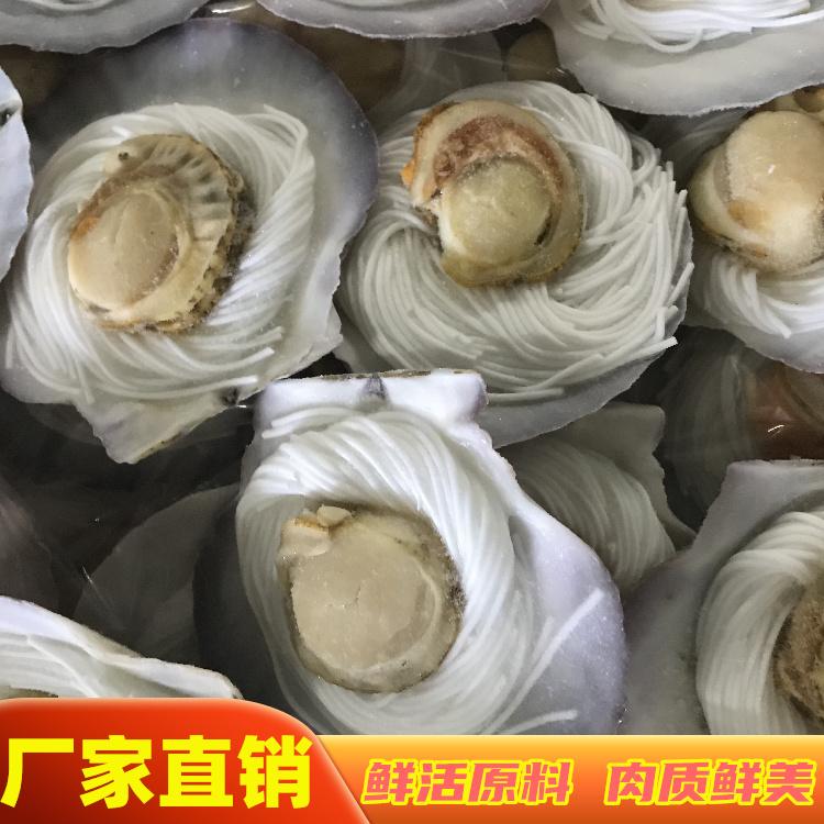 蒜蓉粉丝虾夷贝 冷冻虾夷贝 贝类水产品批发