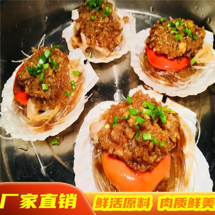 蒜蓉粉丝贝 袋装批发销售 新鲜冷冻水产品