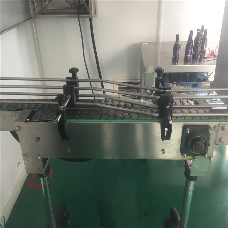 输瓶链道 厂家咨询 两列输瓶带 输瓶链道价格