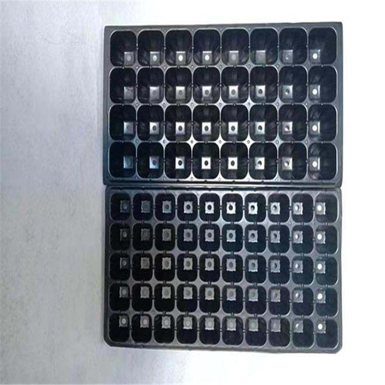 西藏穴盘 厂家直供 