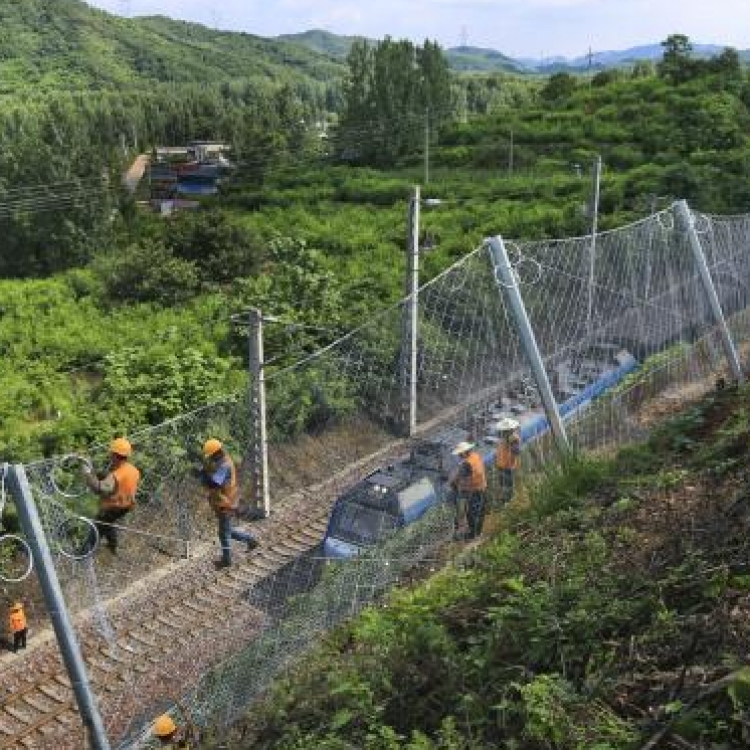 轨道两侧被动防护网 铁路柔性防护网 落石拦截防护网