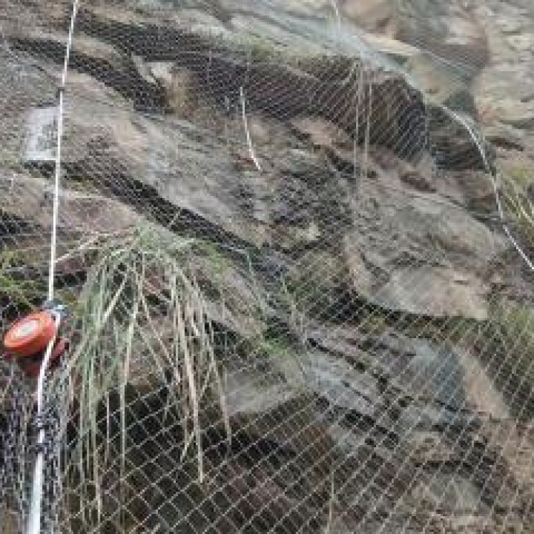 宜宾珙县地质灾害防护网 边坡防护拦石网 SNS主动防护网预算