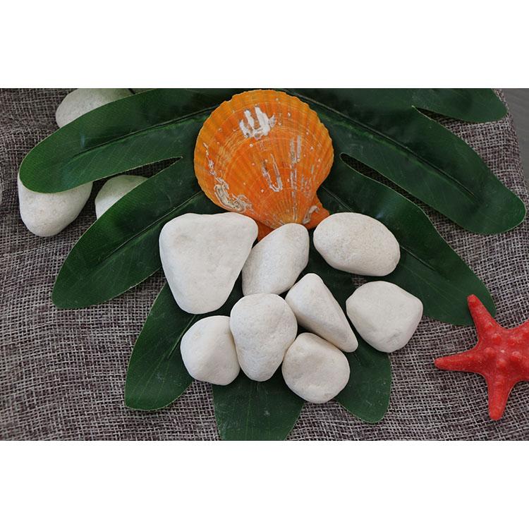 园艺白石子 园艺景观白鹅卵石  鱼缸花盆用白石子  规格齐全 捷晶