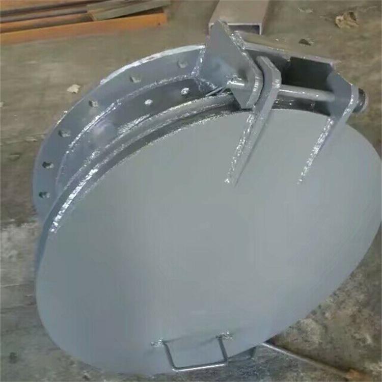 玻璃钢拍门方形圆形复合材料污水止回管道连接水渠防倒灌拍门阀