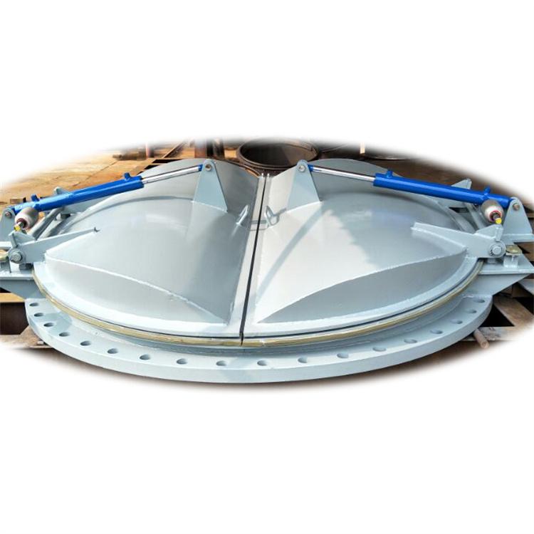 水利工程专用大型钢制闸门 铸铁镶铜拍门 可定制