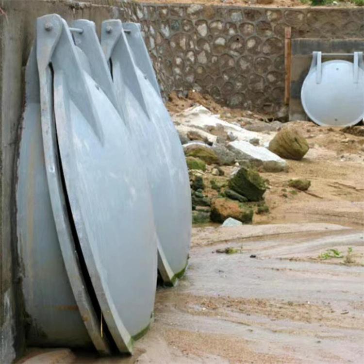 ZPM不锈钢圆形拍门 可定制各种材质 品质保证 欢迎致电