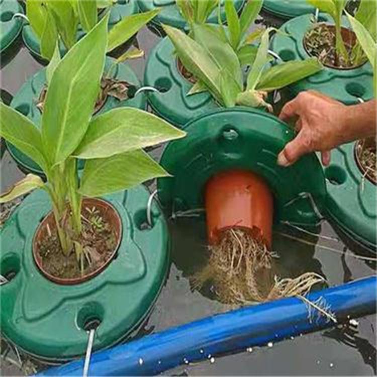 水上绿化专用生态浮岛人工生态浮床 净化浮岛