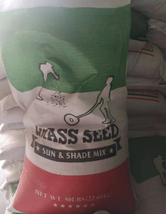 高羊茅 瑞丽 工程草籽 工地草种 园林绿化 园林草种 批发厂家直销