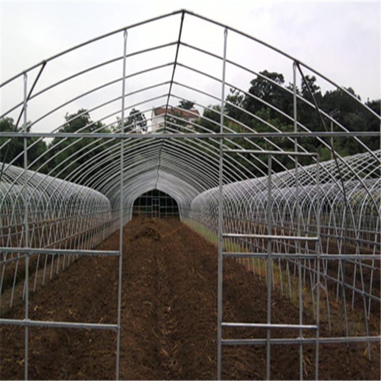 欢迎选购农业温室大棚新型骨架日光温室骨架蔬菜大棚厂家规格齐全