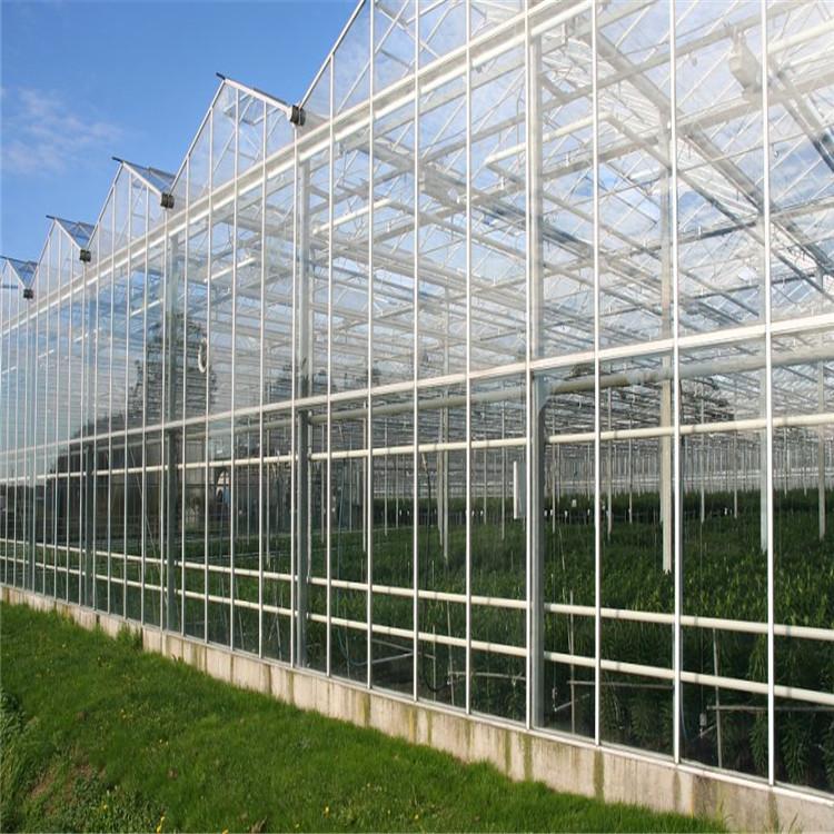 农业温室大棚新型骨架日光温室骨架蔬菜大棚厂家量大优惠欢迎选购