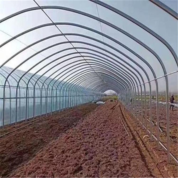 农业温室大棚新型骨架日光温室骨架蔬菜大棚厂家规格齐全长期供应