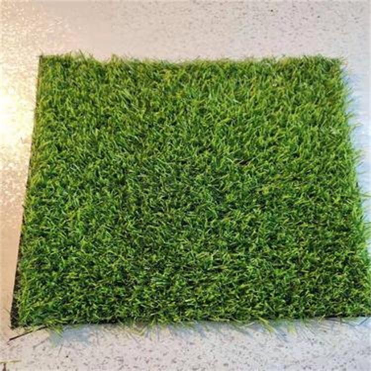 仿真门球草 建材草坪供应商供应 足球草坪