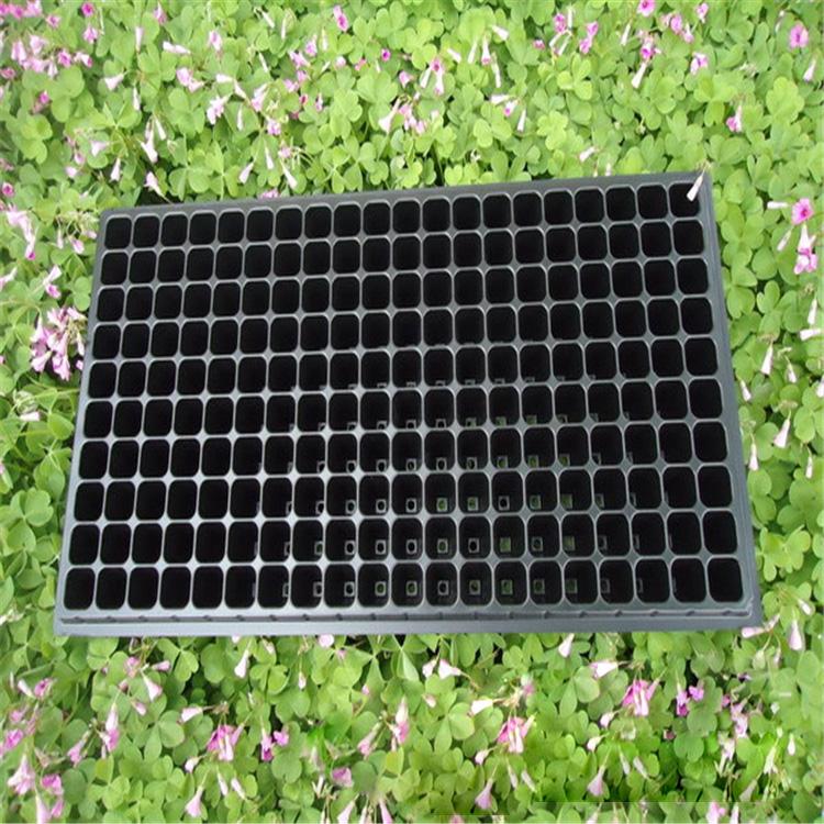 厂家直供育育苗盘  苗穴盘批发 育苗穴盘生产厂家