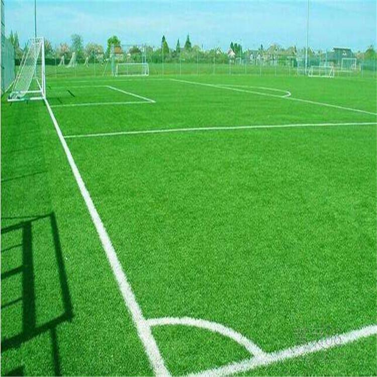 人造仿真草坪厂家量大优惠欢迎选购