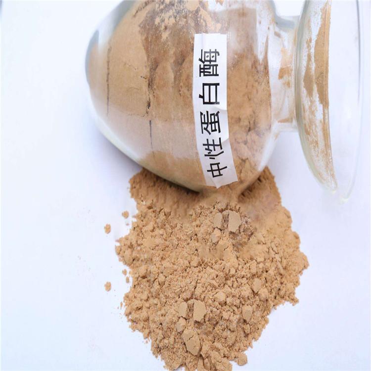 蛋白酶 碱性蛋白酶食品级