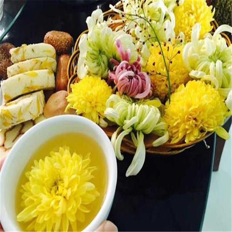 食用菊花厂家 九华