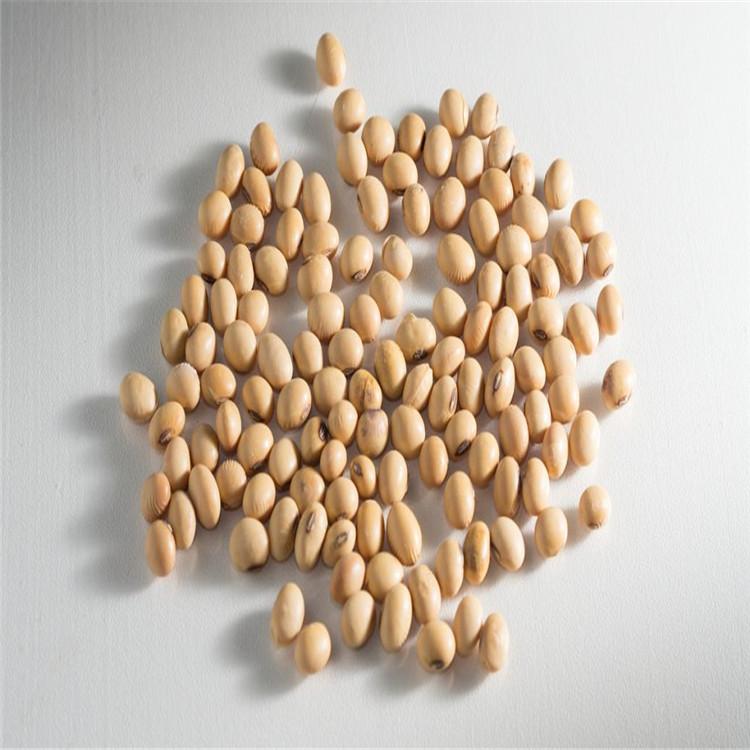 UPO分子筛 分子筛 进口国产碳分子筛现货