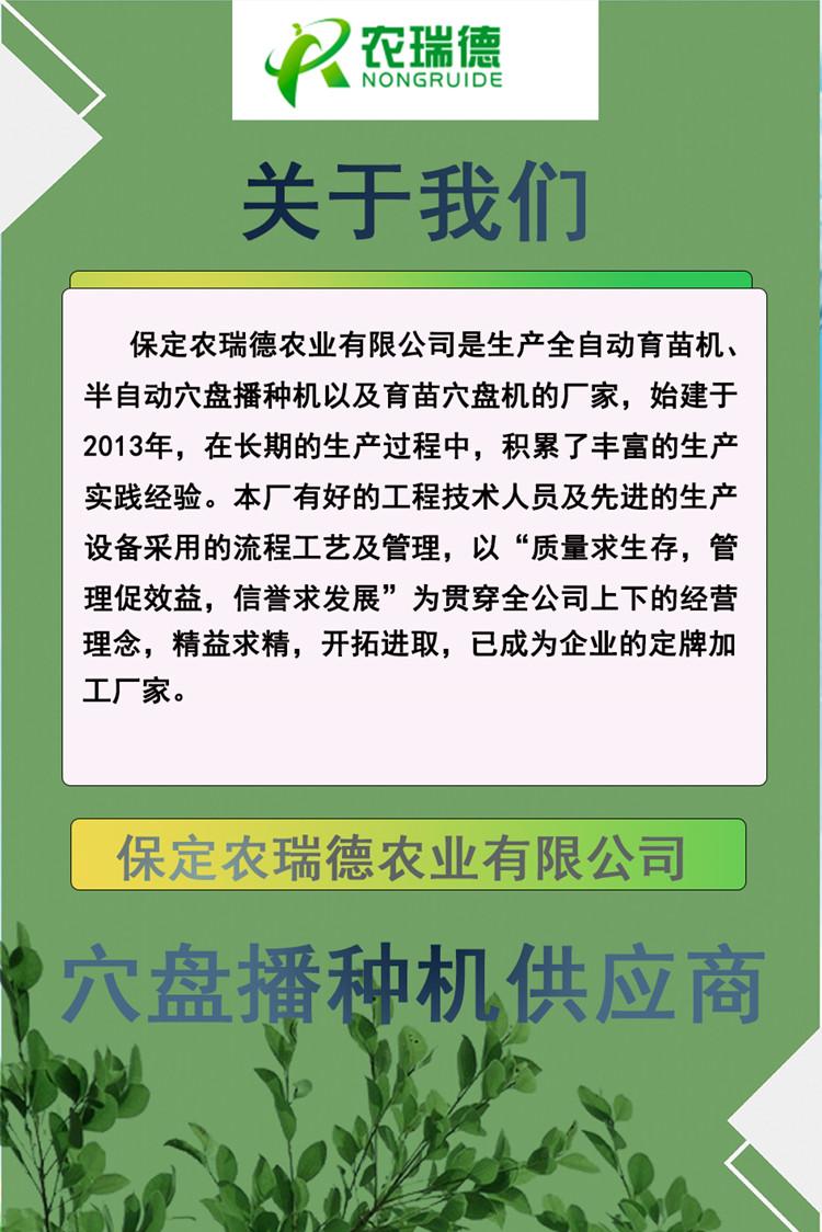 220V稳定高效穴盘育苗机 蔬菜种子育苗精量播种机 精量播种 好用实用