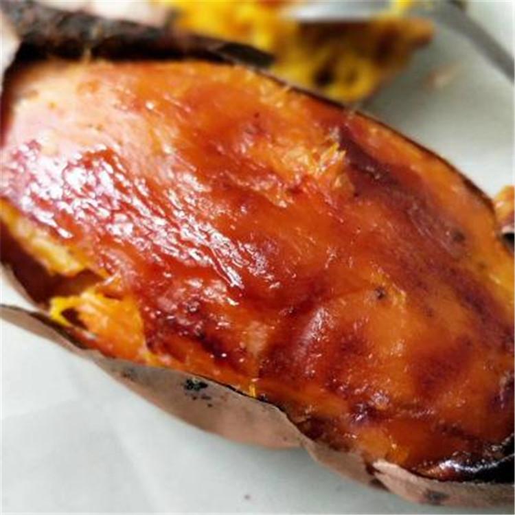 烟薯批发 软糯香甜烟薯25号 农家场地供应烟薯红薯