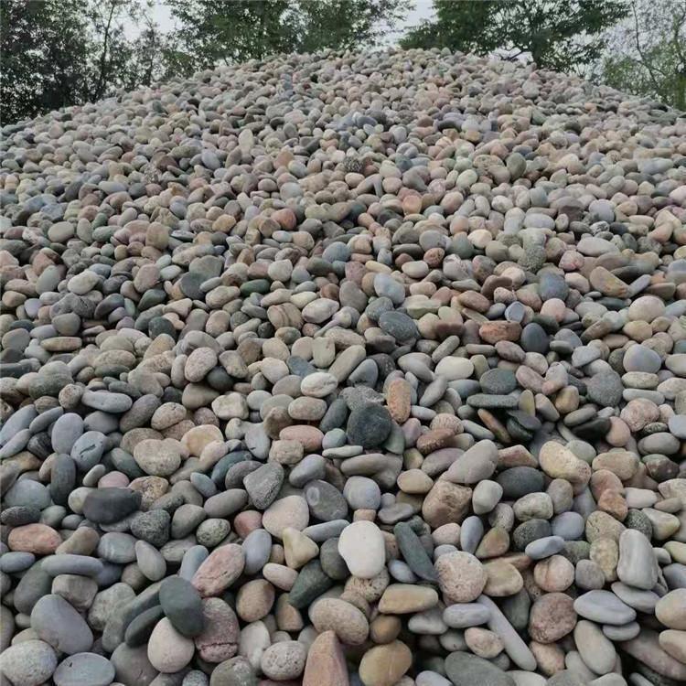 变压器垫层滤油鹅卵石园林绿景观铺路风景石滤料水洗石