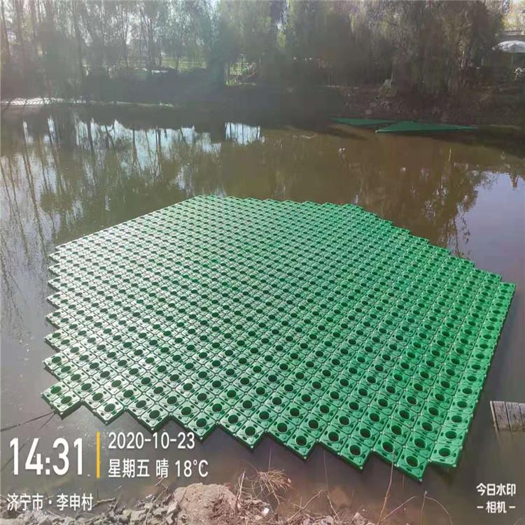 绿景 自贡生态浮岛批发 方形浮岛批发