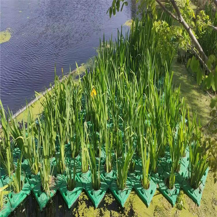 绿景 郑州大板浮岛价格 人工浮岛价格