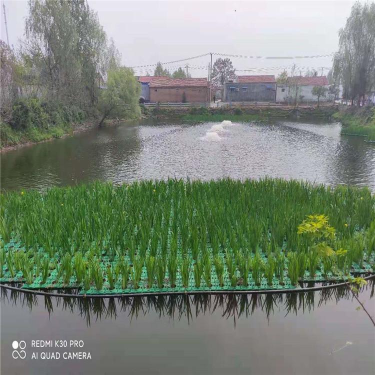 绿景 郑州生态浮岛加工定制 方形浮岛加工定制